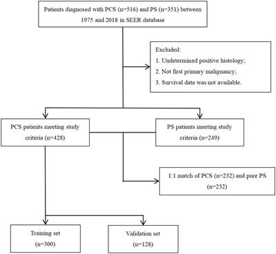 Clinical features and prognostic factors of pulmonary carcinosarcoma: A nomogram development and validation based on surveillance epidemiology and end results database